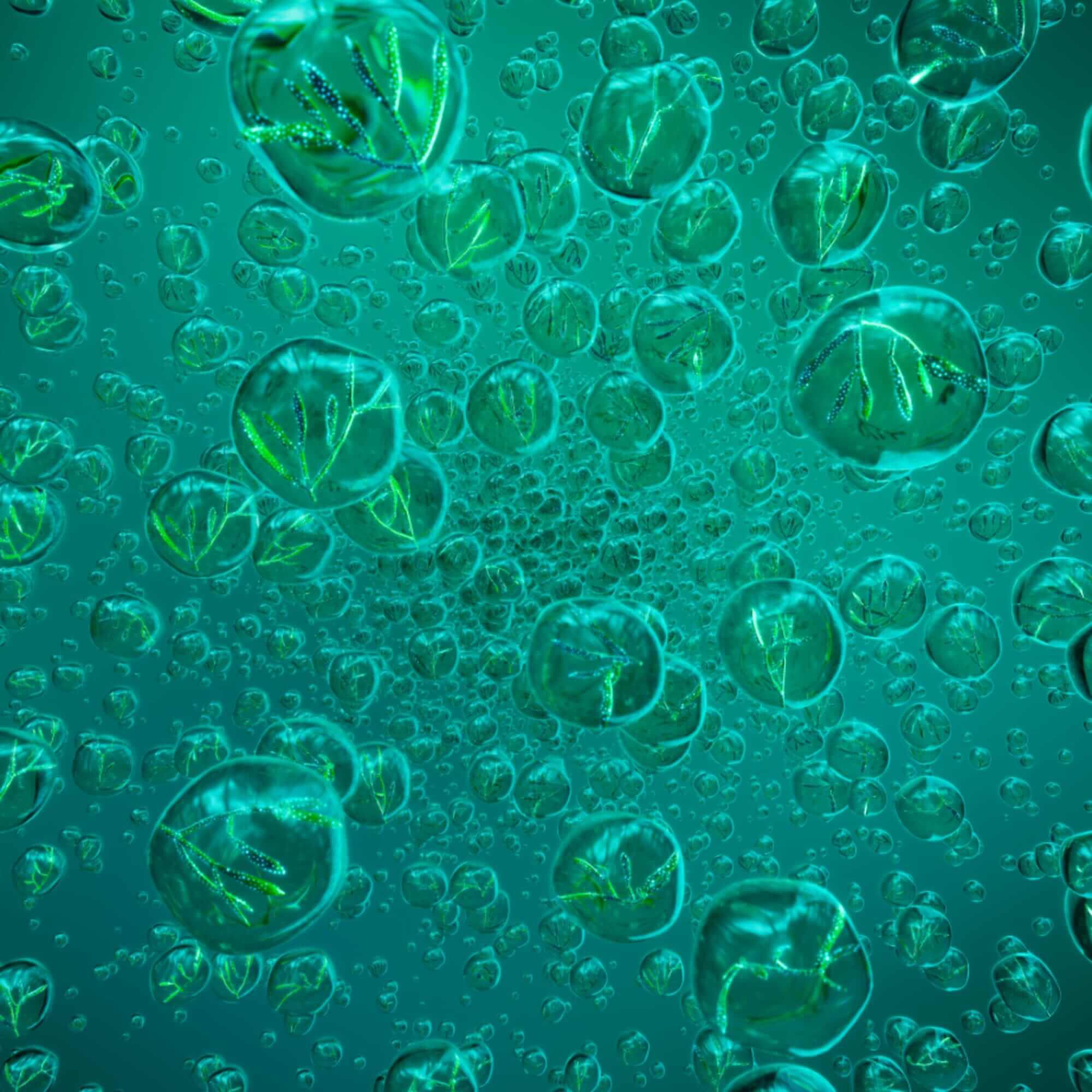 Powercell Skinmunity Serum Jeunesse Renforcee