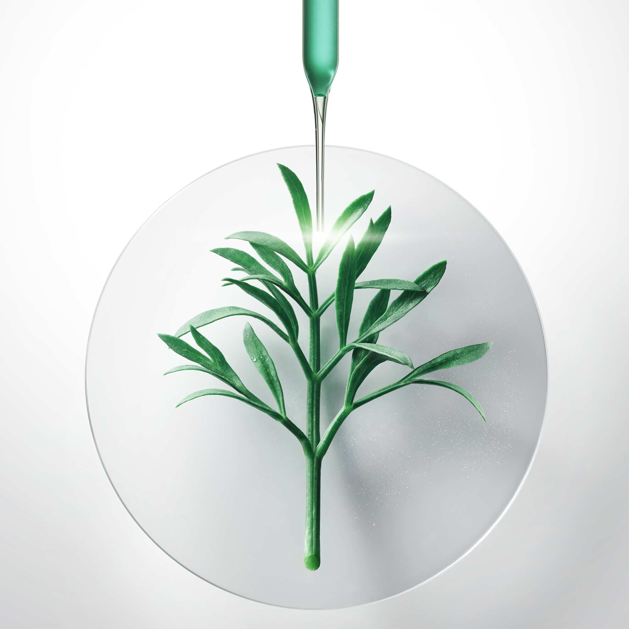 Youth Reinforcing Duo