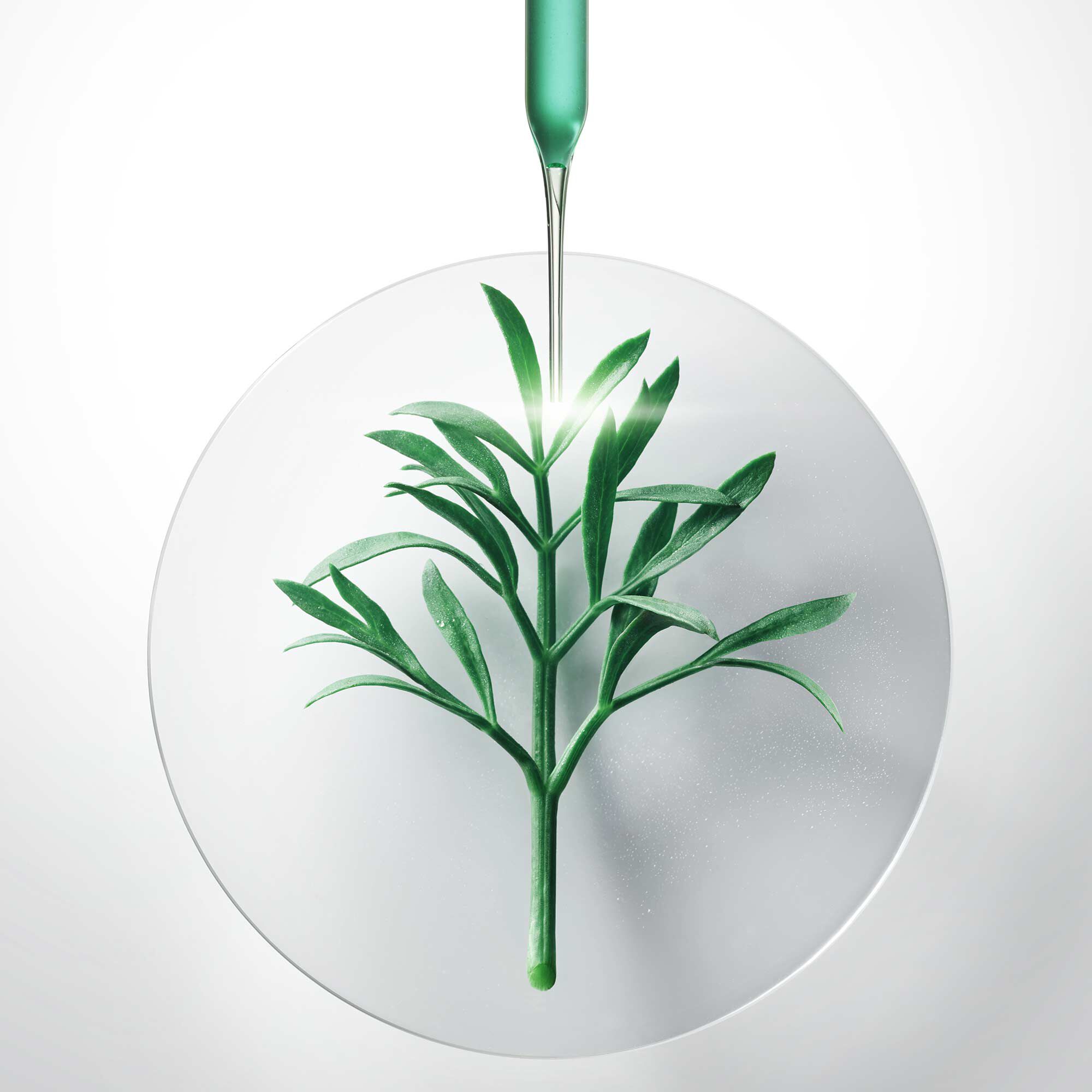 Reinforce & Soothe Skin during the day