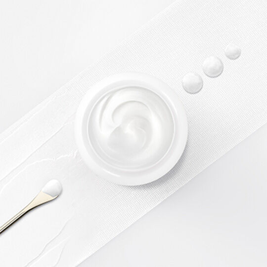 Replasty Age Recovery Creme de Jour